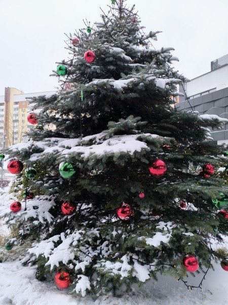 Модный, стильный, мощный. Обзор смартфона Xiaomi Redmi Note 13 Pro+