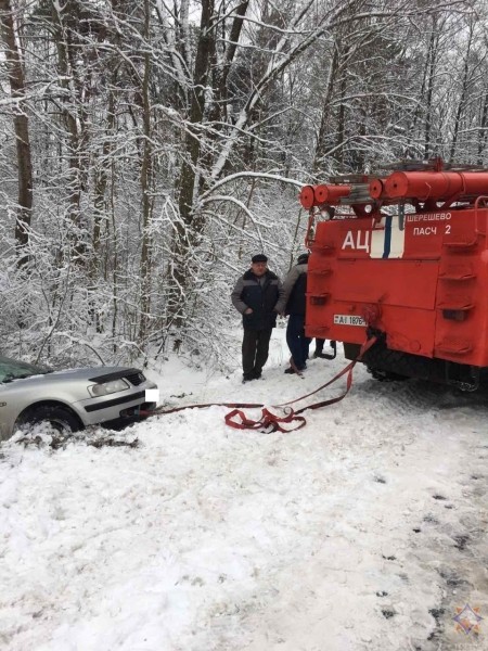 В Бресте в результате падения деревьев повреждено пять машин
