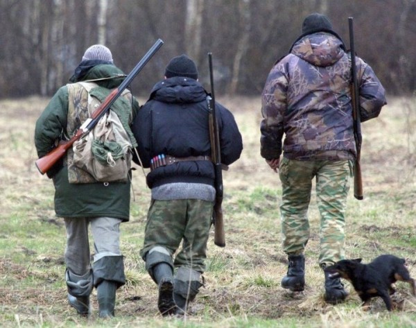 Мужчина в Ивановском районе незаконно охотился на косуль. Заработал штраф 9 тыс. и уголовное дело Мужчина в Ивановском районе незаконно охотился на косуль. Заработал штраф 9 тыс. и уголовное дело