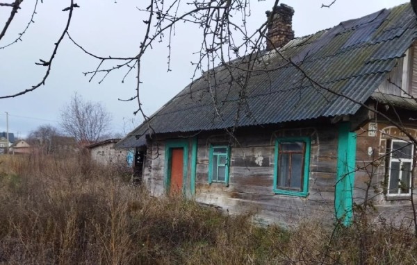 Рядом с пущей и на Мальдивах. Смотрите, какие дома в Беларуси можно купить за 40 рублей