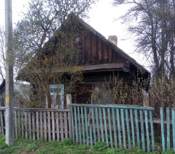 Рядом с пущей и на Мальдивах. Смотрите, какие дома в Беларуси можно купить за 40 рублей