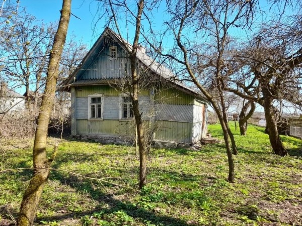 Рядом с пущей и на Мальдивах. Смотрите, какие дома в Беларуси можно купить за 40 рублей
