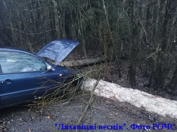 Дерево упало на проезжающий автомобиль под Ляховичами Дерево упало на проезжающий автомобиль под Ляховичами
