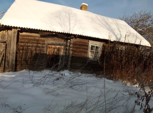 Рядом с пущей и на Мальдивах. Смотрите, какие дома в Беларуси можно купить за 40 рублей