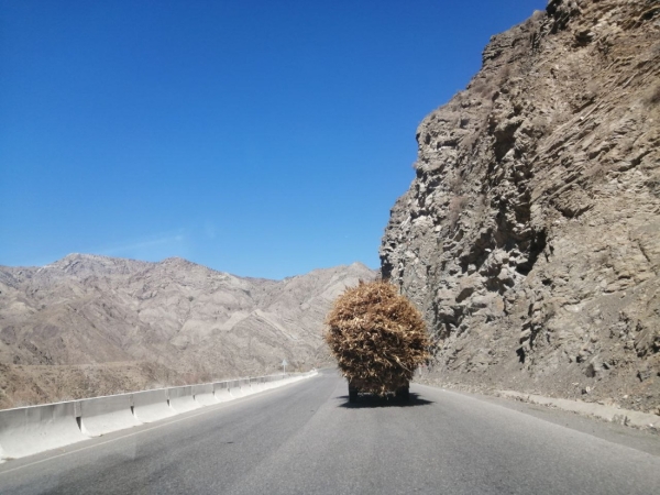 Больше 12 000 км на стареньком Volvo. Белорусы посмотрели четыре страны без виз &mdash; и вы тоже так можете