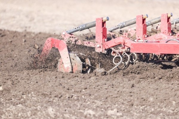 С любовью к земле и людям, или Как в Жабинковском районе женщина руководит целым хозяйством