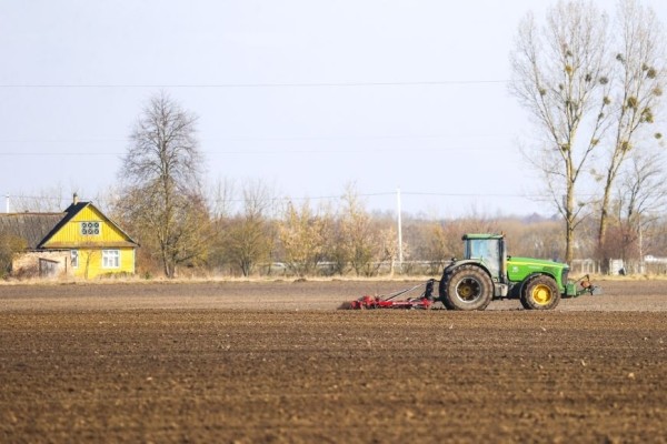 С любовью к земле и людям, или Как в Жабинковском районе женщина руководит целым хозяйством