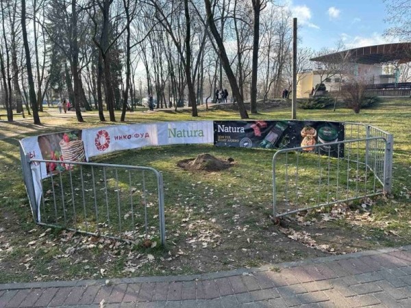 В Бресте в Парке культуры и отдыха упал столб