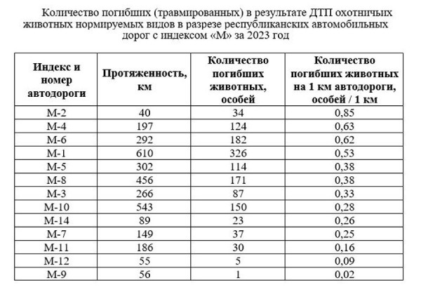 Стало больше почти на 12%. Подробная статистика ДТП с участием диких животных в Беларуси за 2023 год
