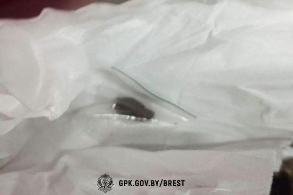 На границе в Бресте служебная собака среагировала на куртку. Что там нашли? На границе в Бресте служебная собака среагировала на куртку. Что там нашли?