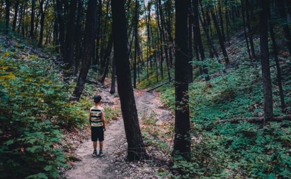 Если ребенок потерялся в лесу: что нужно знать родителям, чтобы избежать трагедии