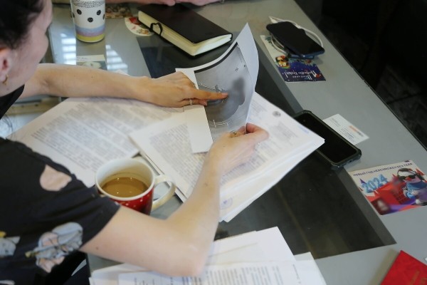 «Муж в колонии, я — на „химии“». Многодетная белоруска о последствиях льготной растаможки