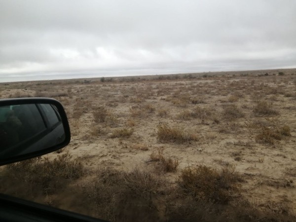 Больше 12 000 км на стареньком Volvo. Белорусы посмотрели четыре страны без виз &mdash; и вы тоже так можете