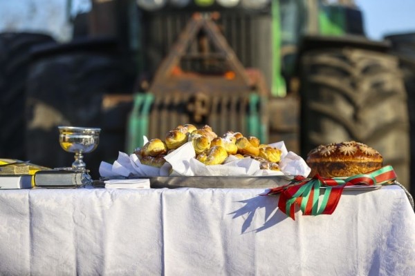 С любовью к земле и людям, или Как в Жабинковском районе женщина руководит целым хозяйством