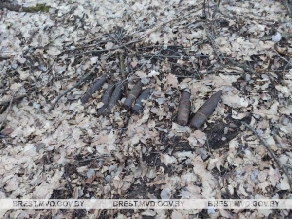 В Брестской области мужчина на прогулке в лесу нашел снаряды времен ВОВ В Брестской области мужчина на прогулке в лесу нашел снаряды времен ВОВ