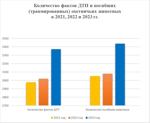 Стало больше почти на 12%. Подробная статистика ДТП с участием диких животных в Беларуси за 2023 год