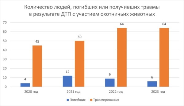 Стало больше почти на 12%. Подробная статистика ДТП с участием диких животных в Беларуси за 2023 год