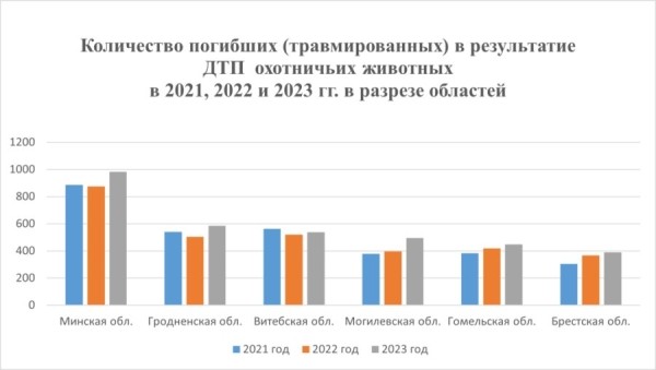 Стало больше почти на 12%. Подробная статистика ДТП с участием диких животных в Беларуси за 2023 год