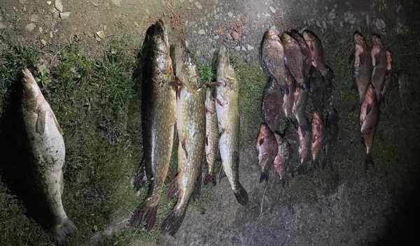 Два белоруса нарыбачили на уголовку: узнали подробности Два белоруса нарыбачили на уголовку: узнали подробности