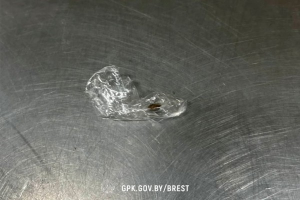 Мужчина пытался ввезти гашиш в Беларусь. Случай на границе в Бресте Мужчина пытался ввезти гашиш в Беларусь. Случай на границе в Бресте