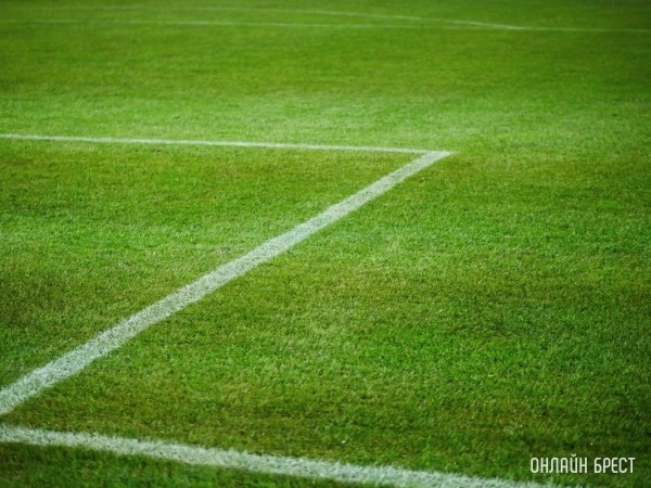 Кто забил самый быстрый гол в футбольных матчах? Кто забил самый быстрый гол в футбольных матчах?