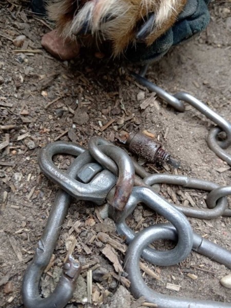 Еще одна добрая история: каменецкие спасатели помогли собаке, лапа которой застряла в карабине цепи Еще одна добрая история: каменецкие спасатели помогли собаке, лапа которой застряла в карабине цепи