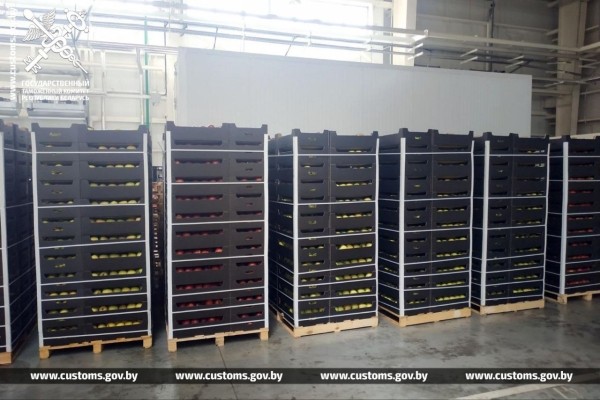 Таможенники задержали почти полторы тысячи тонн польских яблок. По бумагам они были молдавскими Таможенники задержали почти полторы тысячи тонн польских яблок. По бумагам они были молдавскими