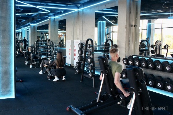 Когда лучше заниматься спортом – утром или вечером?