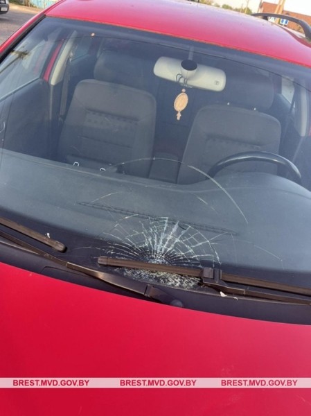 Пожилая женщина-водитель сбила пенсионерку в Березе