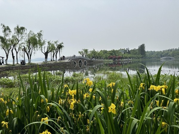 На каких машинах гоняют сами китайцы? Удивитесь, но в топе не только бренды из КНР!