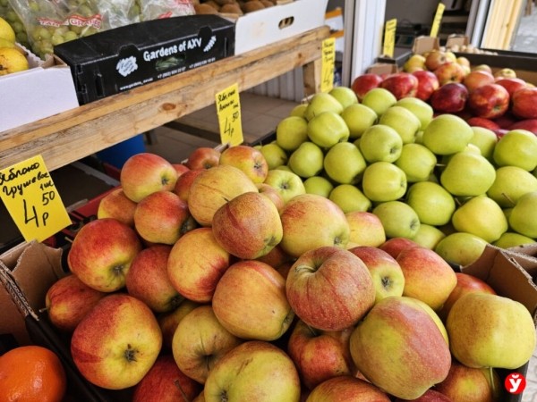 Кто может не платить налог за продажу овощей и фруктов