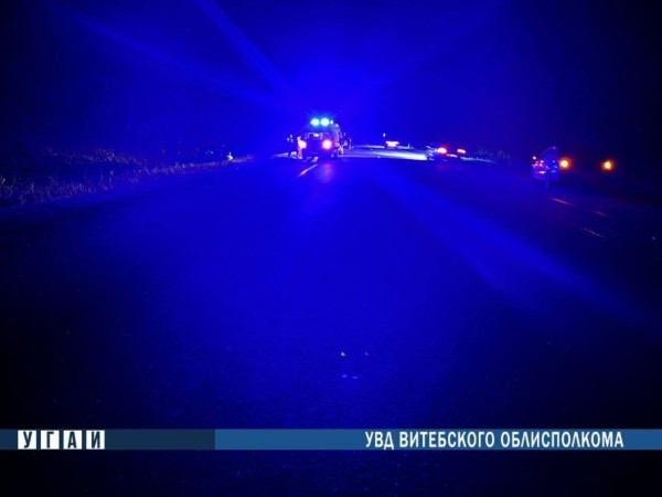 20-летний водитель Volkswagen погиб при наезде на лося на трассе М8