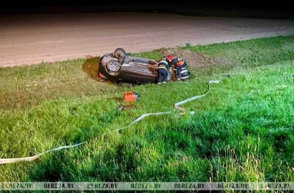 На трассе М1 в Березовском районе водитель съехал в кювет и перевернулся из-за дикого животного На трассе М1 в Березовском районе водитель съехал в кювет и перевернулся из-за дикого животного