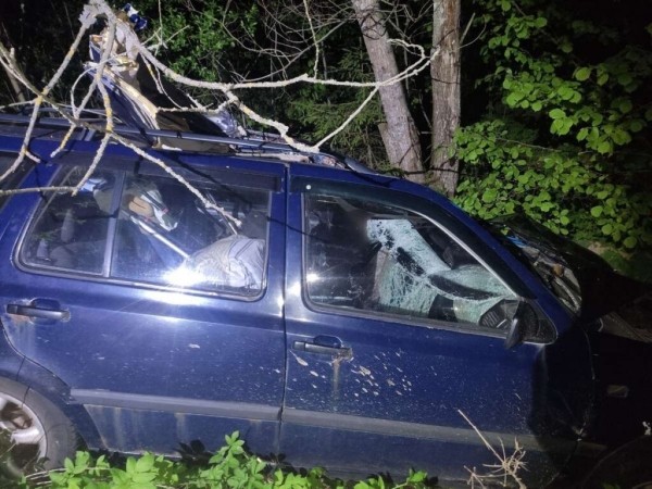В Беларуси водитель погиб в ДТП с лосем В Беларуси водитель погиб в ДТП с лосем