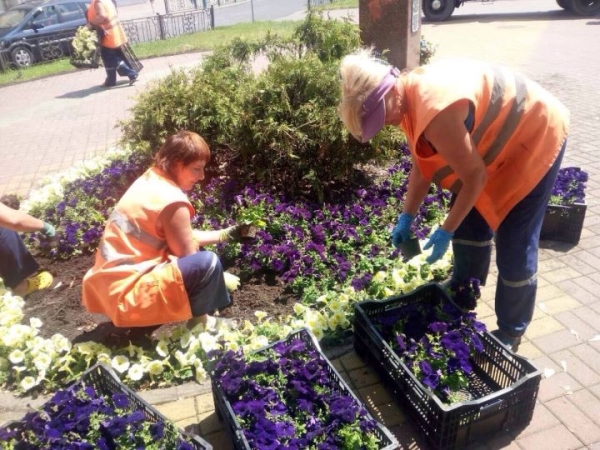 Около 500 тыс. цветов украсят улицы Бреста