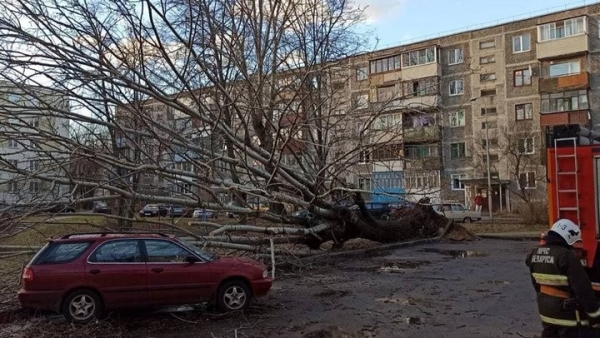 Информация о последствиях непогоды в Бресте Информация о последствиях непогоды в Бресте