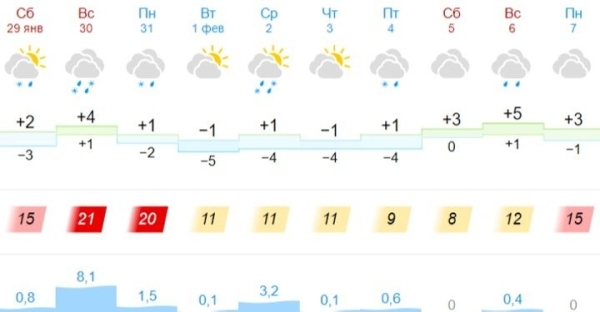 Введен оранжевый уровень: готовимся к сильному ветру и гололедице Введен оранжевый уровень: готовимся к сильному ветру и гололедице