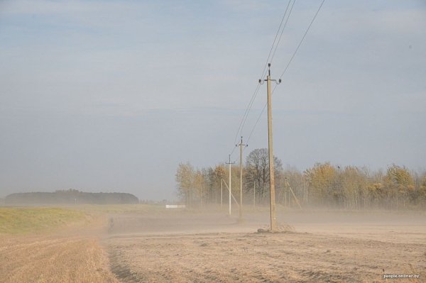 Буря в пустыне: как Полесье зарастает барханами Буря в пустыне: как Полесье зарастает барханами