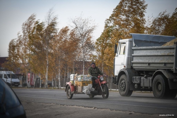 Буря в пустыне: как Полесье зарастает барханами Буря в пустыне: как Полесье зарастает барханами