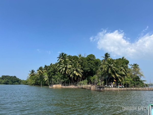 Шри-Ланка изменила правила выдачи виз. Что нужно знать белорусам