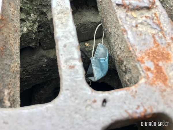 ВОЗ: конец пандемии близок, но впереди сложные 3 месяца ВОЗ: конец пандемии близок, но впереди сложные 3 месяца