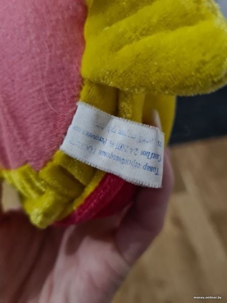 В Бресте ребенок вместо обеда потратил деньги на автомат с игрушками. Выиграл и принес маме — та «в шоке»