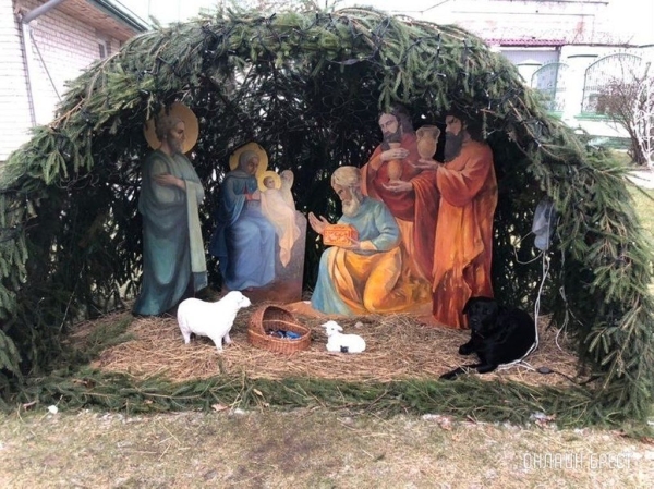 Читатель: Брест. На территории Свято-Симеоновского кафедрального собора ходит чёрный лабрадор, у него что-то с лапкой
Читатель: Брест. На территории Свято-Симеоновского кафедрального собора ходит чёрный лабрадор, у него что-то с лапкой