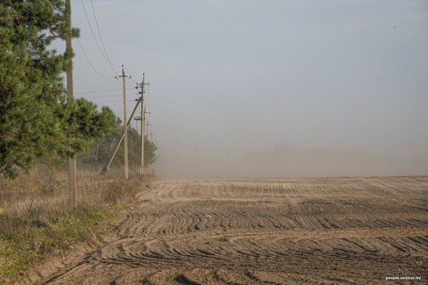 Буря в пустыне: как Полесье зарастает барханами Буря в пустыне: как Полесье зарастает барханами