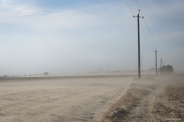Буря в пустыне: как Полесье зарастает барханами Буря в пустыне: как Полесье зарастает барханами