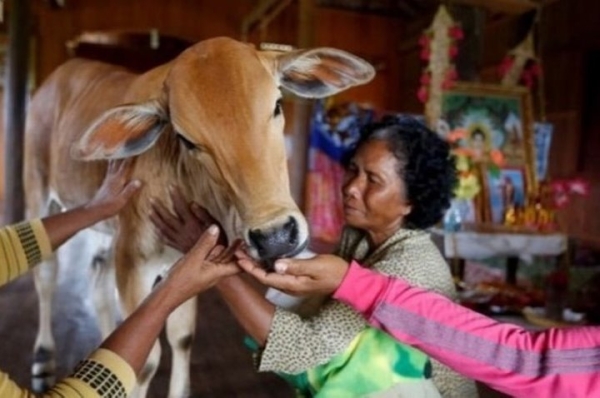 Какие браки самые необычные? Какие браки самые необычные?