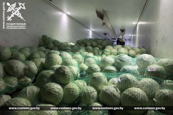 Незаконный вывоз из Беларуси 20 тонн сахара и 20 тонн капусты пресекли таможенники Незаконный вывоз из Беларуси 20 тонн сахара и 20 тонн капусты пресекли таможенники