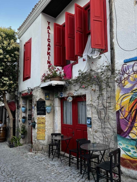 В Турцию через Европу на автомобиле. Белорусы о затратах на топливо и нюансах поездки В Турцию через Европу на автомобиле. Белорусы о затратах на топливо и нюансах поездки