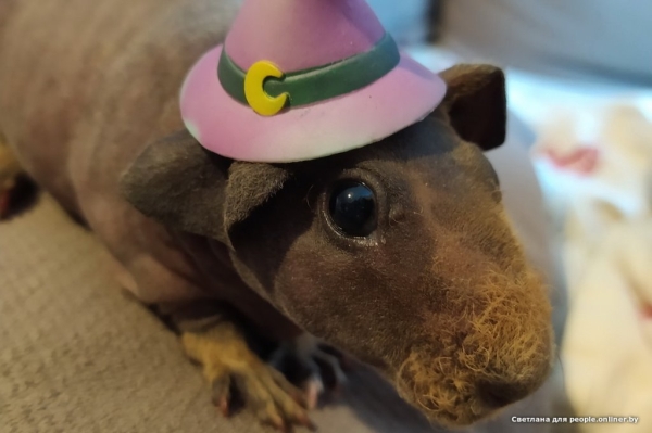 Это что вообще? Белоруска завела муми-троллей и продает их детей Это что вообще? Белоруска завела муми-троллей и продает их детей