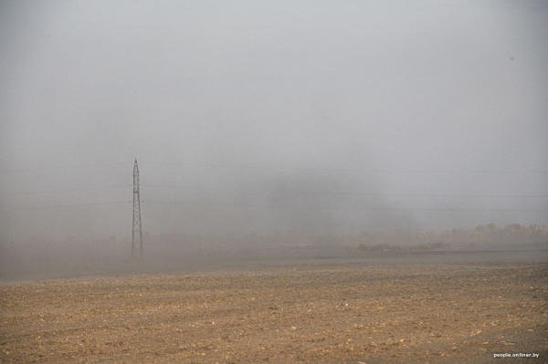 Буря в пустыне: как Полесье зарастает барханами Буря в пустыне: как Полесье зарастает барханами
